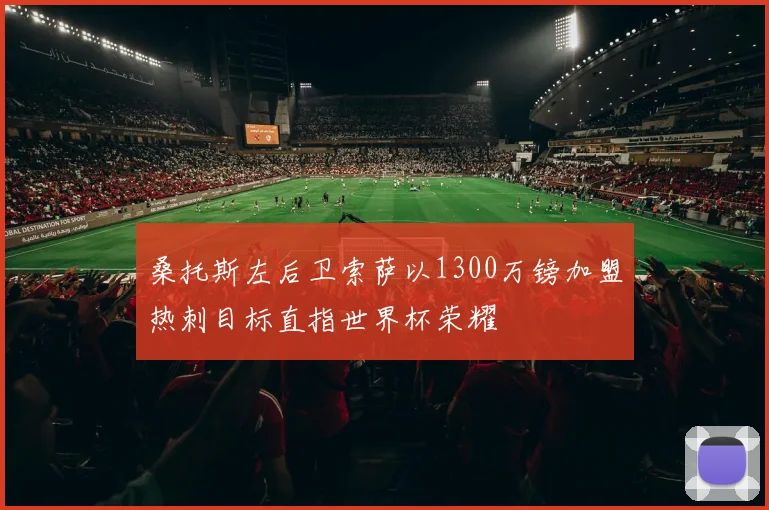 桑托斯左后卫索萨以1300万镑加盟热刺目标直指世界杯荣耀