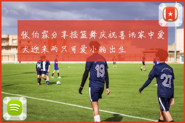 张伯霖分享摇篮舞庆祝喜讯家中爱犬迎来两只可爱小狗出生