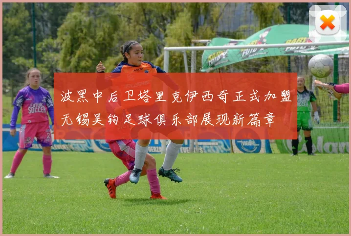 波黑中后卫塔里克伊西奇正式加盟无锡吴钩足球俱乐部展现新篇章