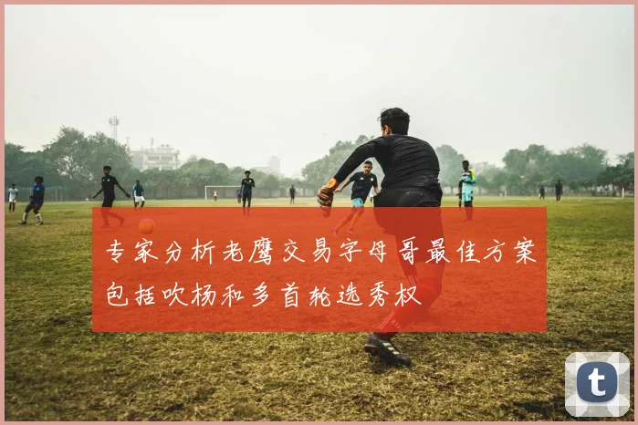专家分析老鹰交易字母哥最佳方案包括吹杨和多首轮选秀权